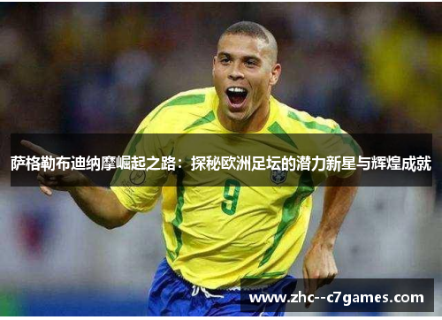 萨格勒布迪纳摩崛起之路：探秘欧洲足坛的潜力新星与辉煌成就