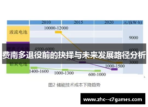 费南多退役前的抉择与未来发展路径分析